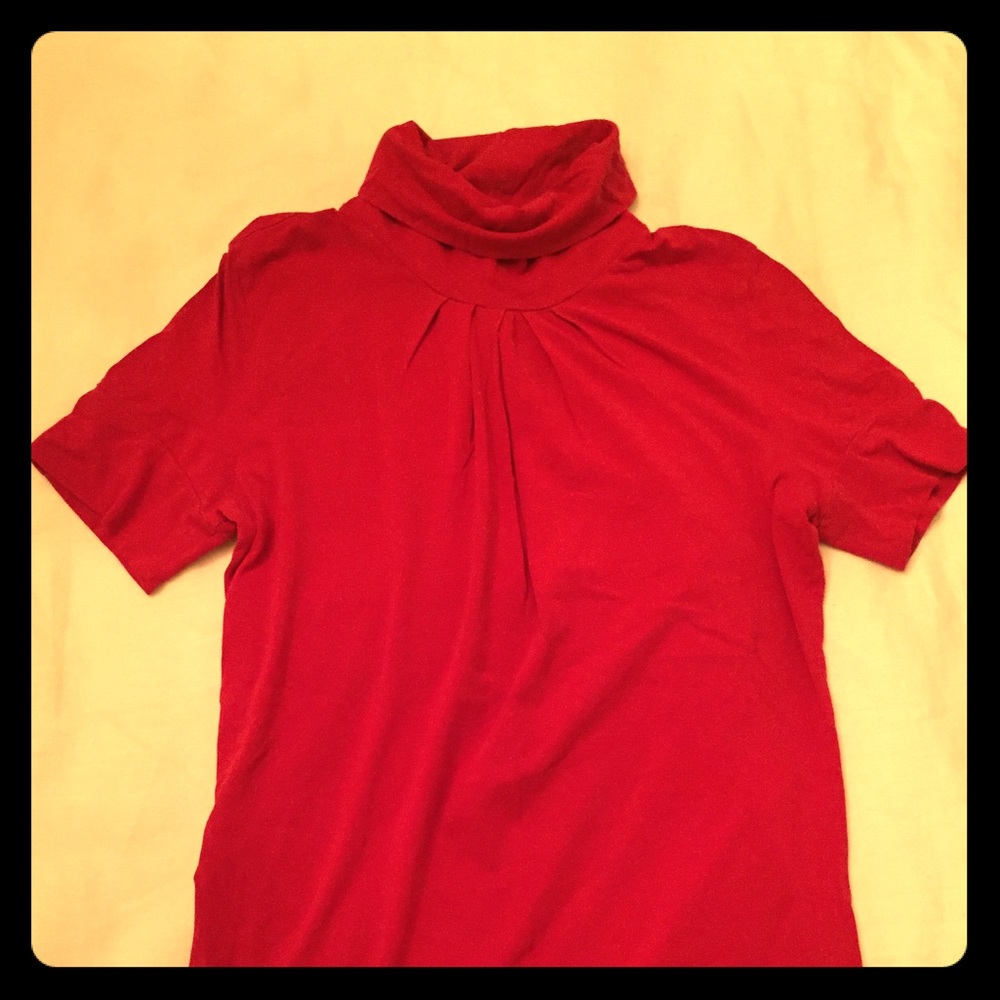 Theory Turtleneck